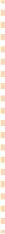 dashed lines