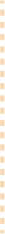 dashed lines